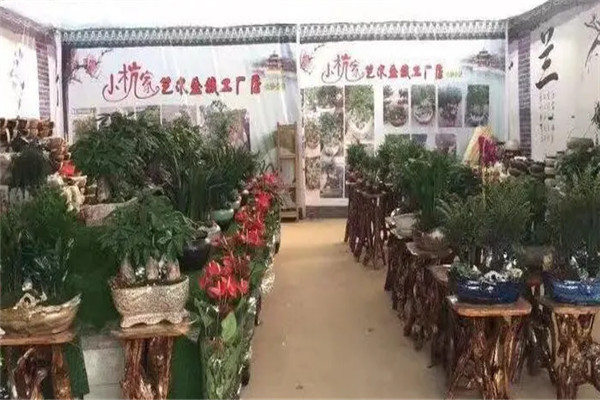 小杭家园艺加盟