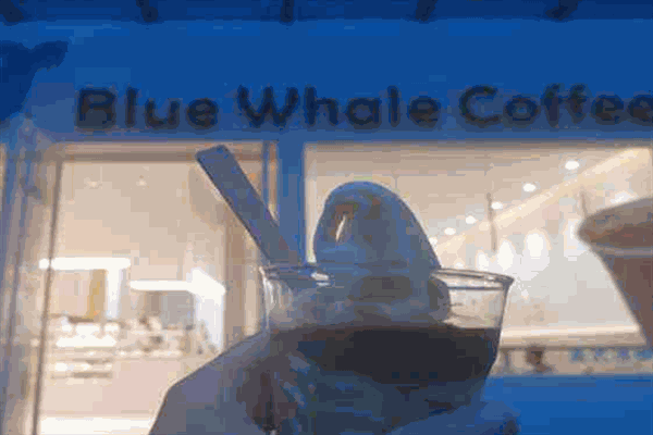 蓝鲸咖啡