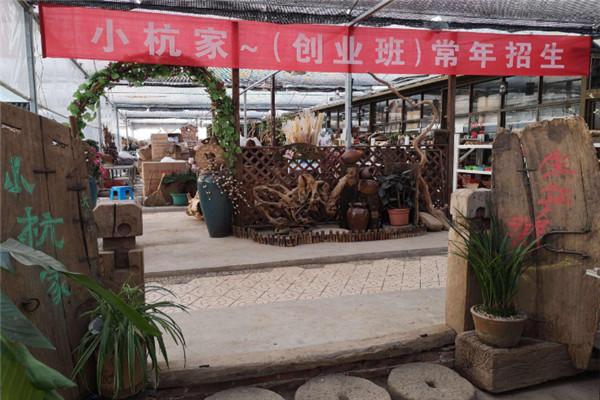 小杭家园艺加盟