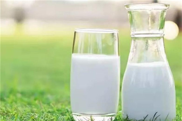 牛乳星鲜奶吧加盟