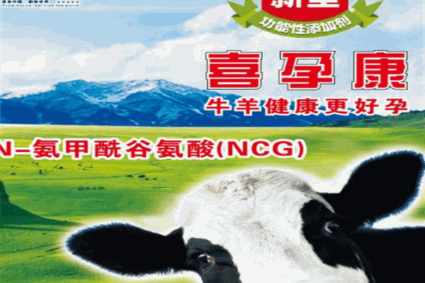 喜百康