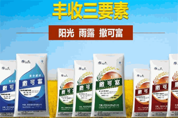 中阿撒可富化肥加盟