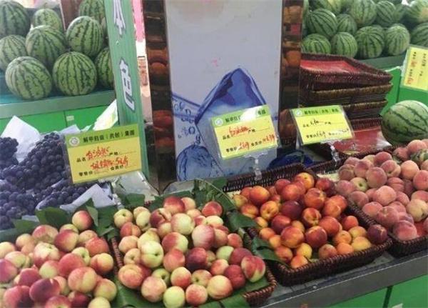 解甲归田水果
