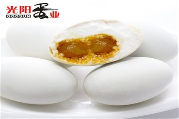 光阳蛋业加盟