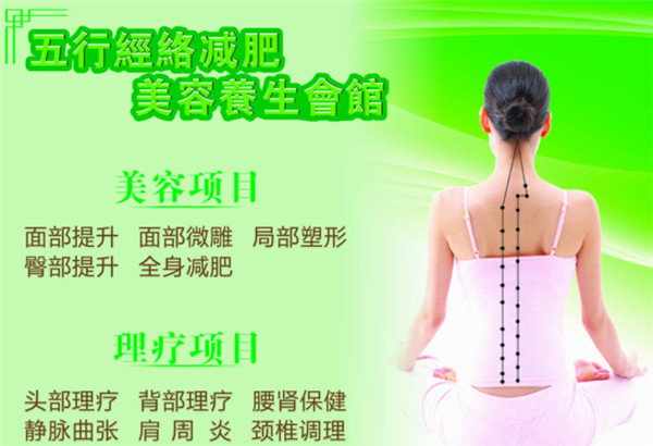 五行经络减肥