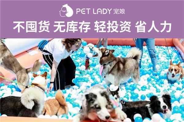 宠娘宠物店加盟