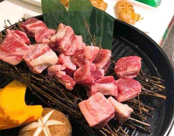 千纸鹤嫩汁烤肉
