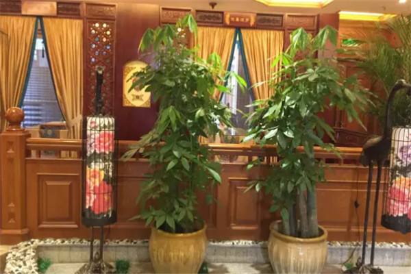 格桑花开素食馆加盟