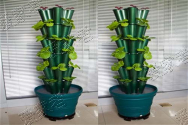 爱家者芽苗菜