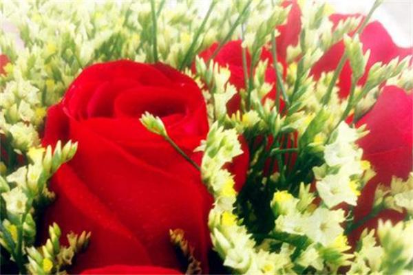 妮依然鲜花