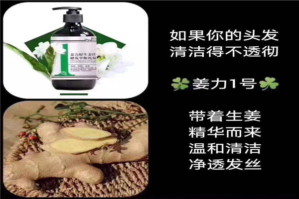 洗姜力洗发水加盟