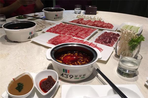 43度9羊火锅加盟
