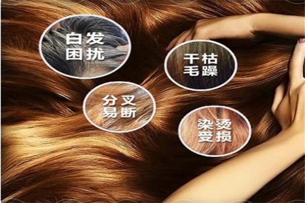 潮发上色洗发水加盟