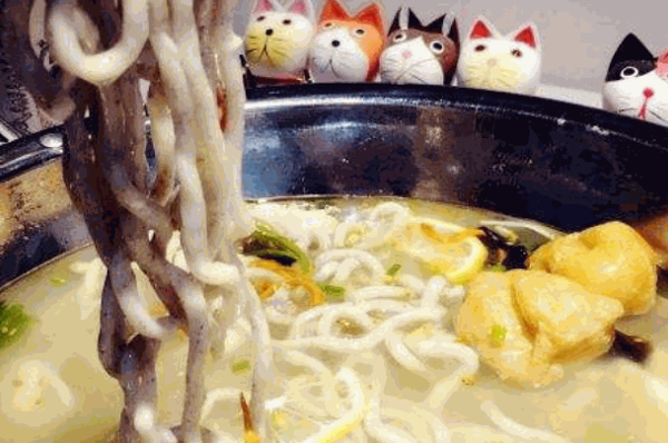 大尾巴猫鱼面