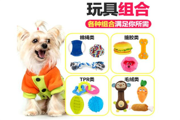 燕尾蝶宠物用品