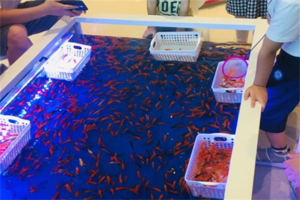 娱乐海洋