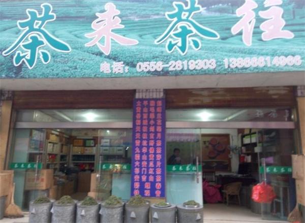 茶来茶往