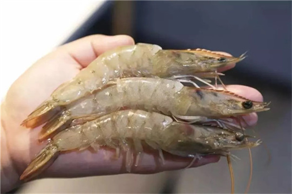 传奇鱼虾锅