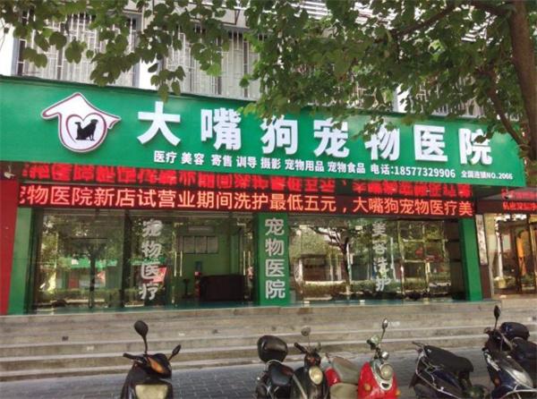大嘴狗宠物医院