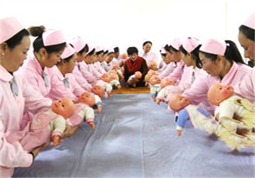 家家月嫂家政