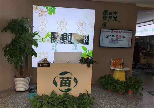 岳灵苗草生发