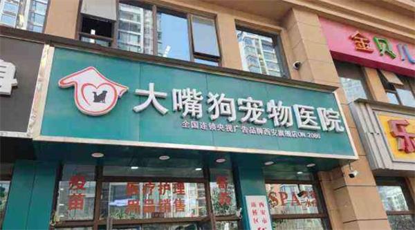 大嘴狗宠物医院