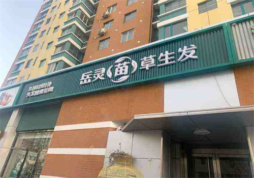岳灵苗草生发