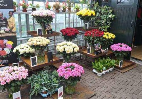 花递鲜花