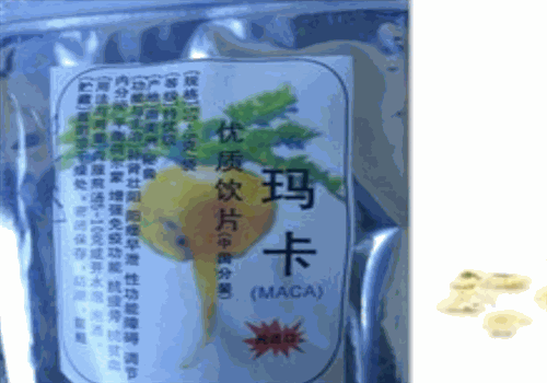 狮城药店加盟