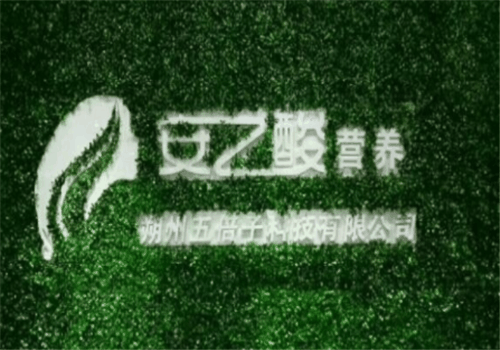 安之酸植物染发加盟