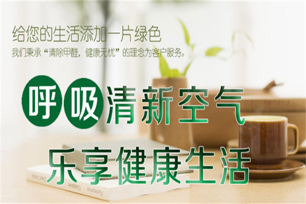 康丽莱除甲醛