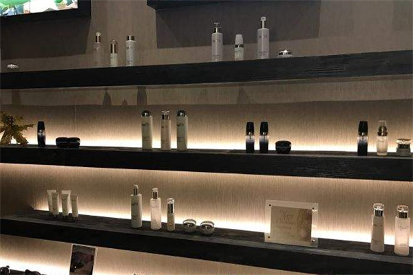 丽颜雅集