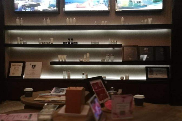 丽颜雅集加盟