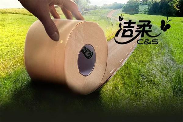 中顺洁柔