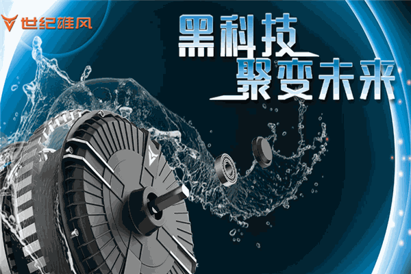 世纪雄风电动车加盟