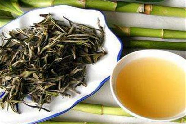 龙王山安吉白茶加盟