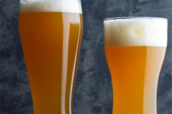 大白鲸小麦啤酒加盟
