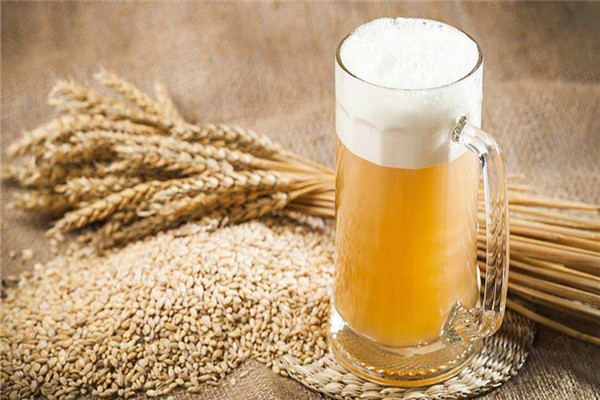 大白鲸小麦啤酒加盟