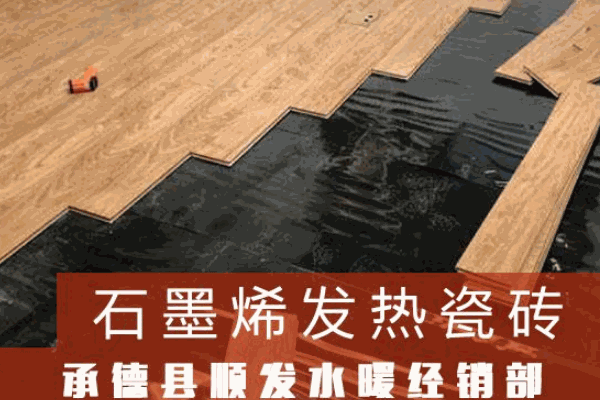 美洲狮发热瓷砖