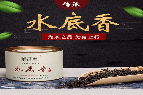 醉武夷茶叶