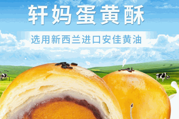 轩妈蛋黄酥