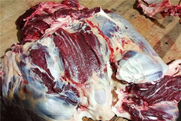 游牧黄牛肉加盟