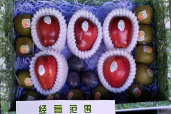 汇果居加盟