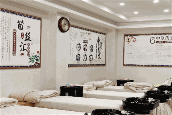 苗丝汇养发