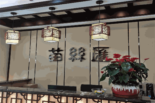 苗丝汇养发