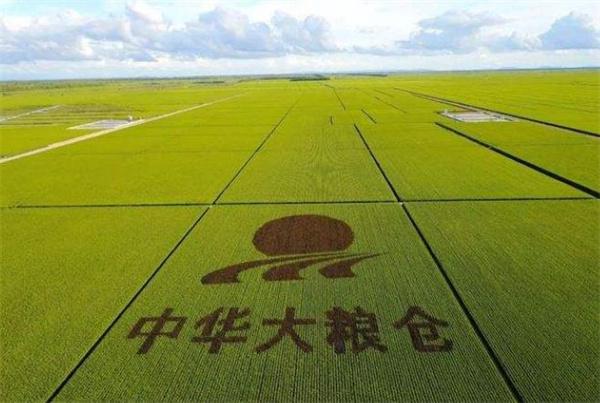北大荒粮油