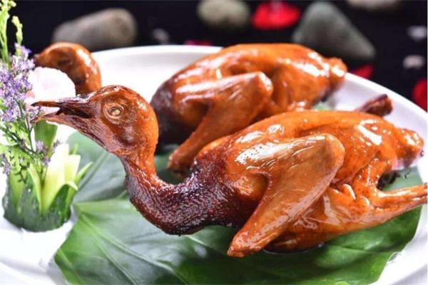 非凡鸽