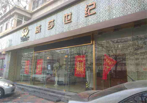 威莎世纪美容
