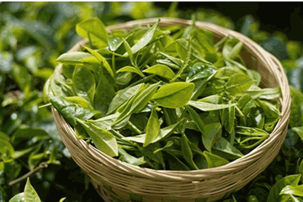 众味合纯茶加盟