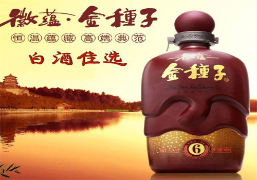 金种子酒代理
